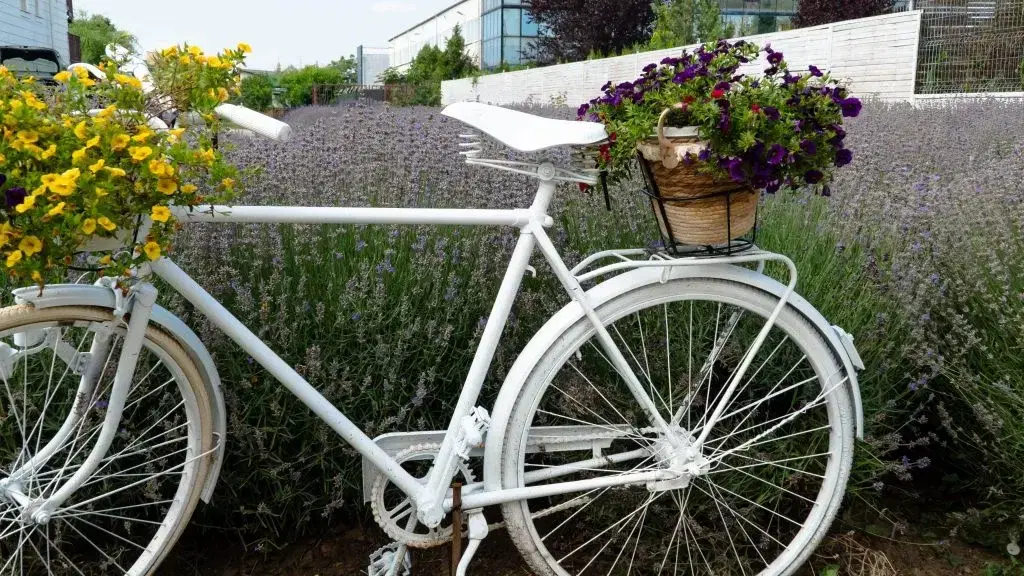 Restaurant Bulevard Ploiești - 2 Restaurant Bulevard Ploiești - 2