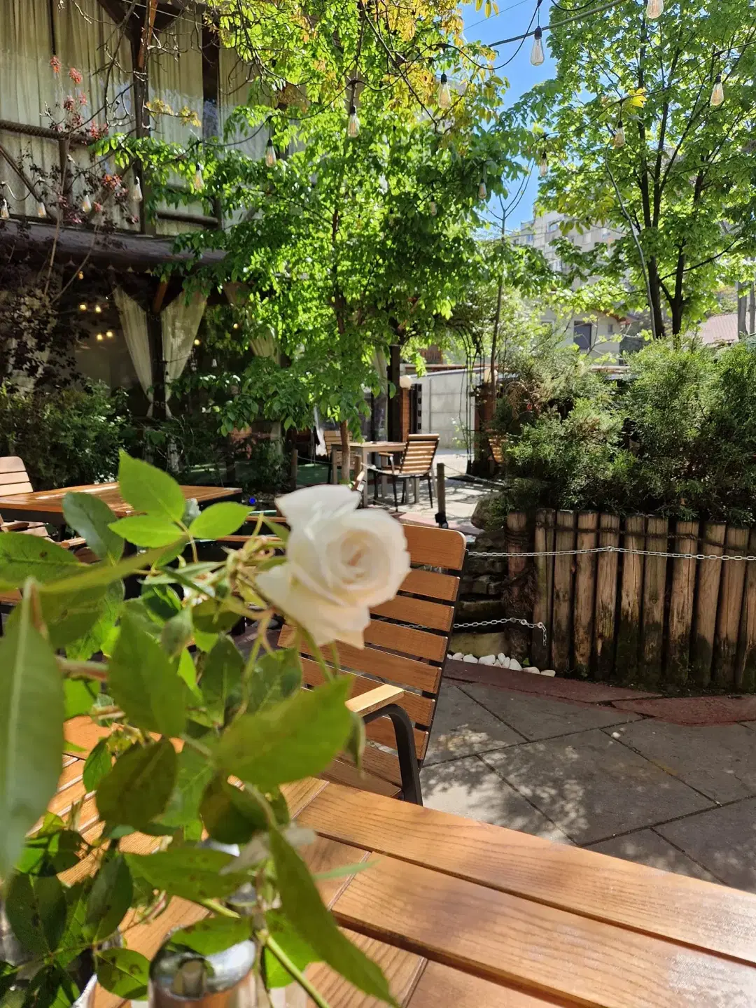 Restaurant Casa Nasului - 5 Restaurant Casa Nasului - 5