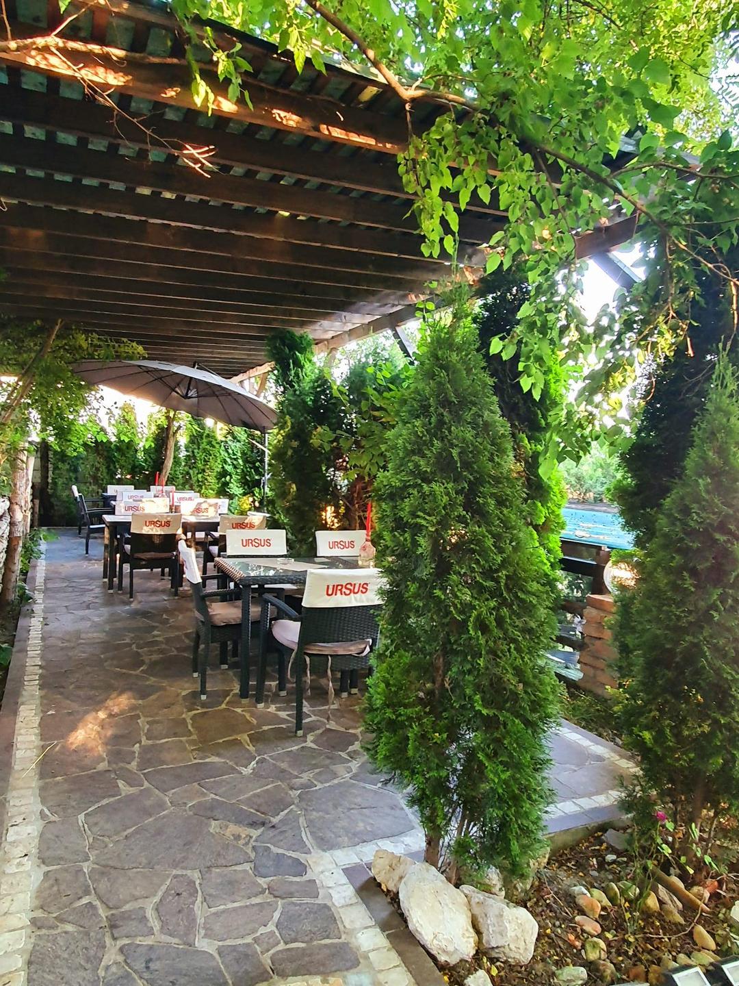 Restaurant Casa Veche - 3 Restaurant Casa Veche - 3