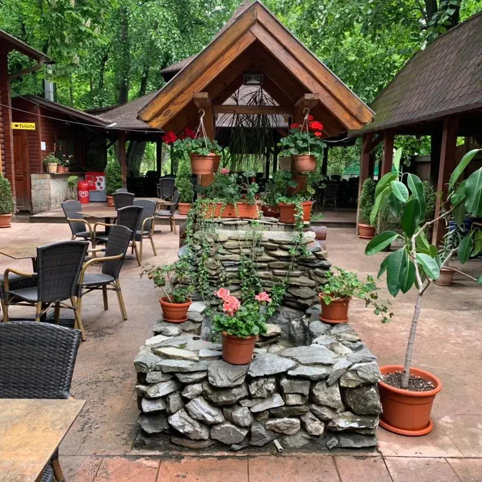 Restaurant Doina Gorjului - 4 Restaurant Doina Gorjului - 4