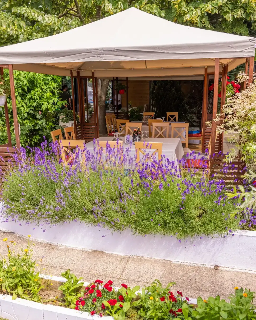 Restaurant Geo Libanezi - 5 Restaurant Geo Libanezi - 5