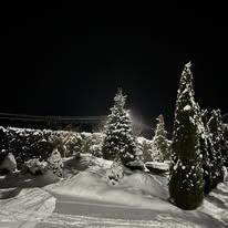 Restaurant Green Vega - 5 Restaurant Green Vega - 5