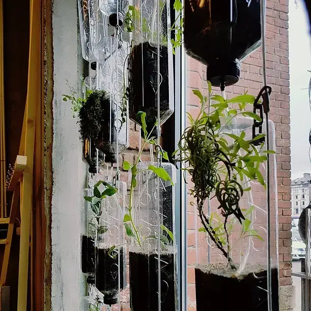 Restaurant Ivan Pescar - 2 Restaurant Ivan Pescar - 2