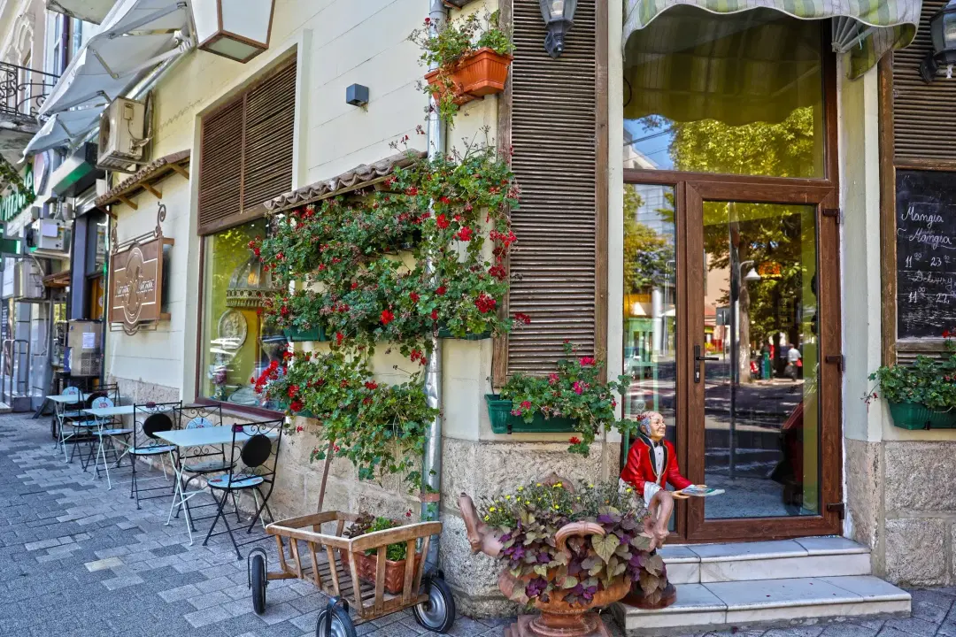 Restaurant Mangia Mangia - 2 Restaurant Mangia Mangia - 2