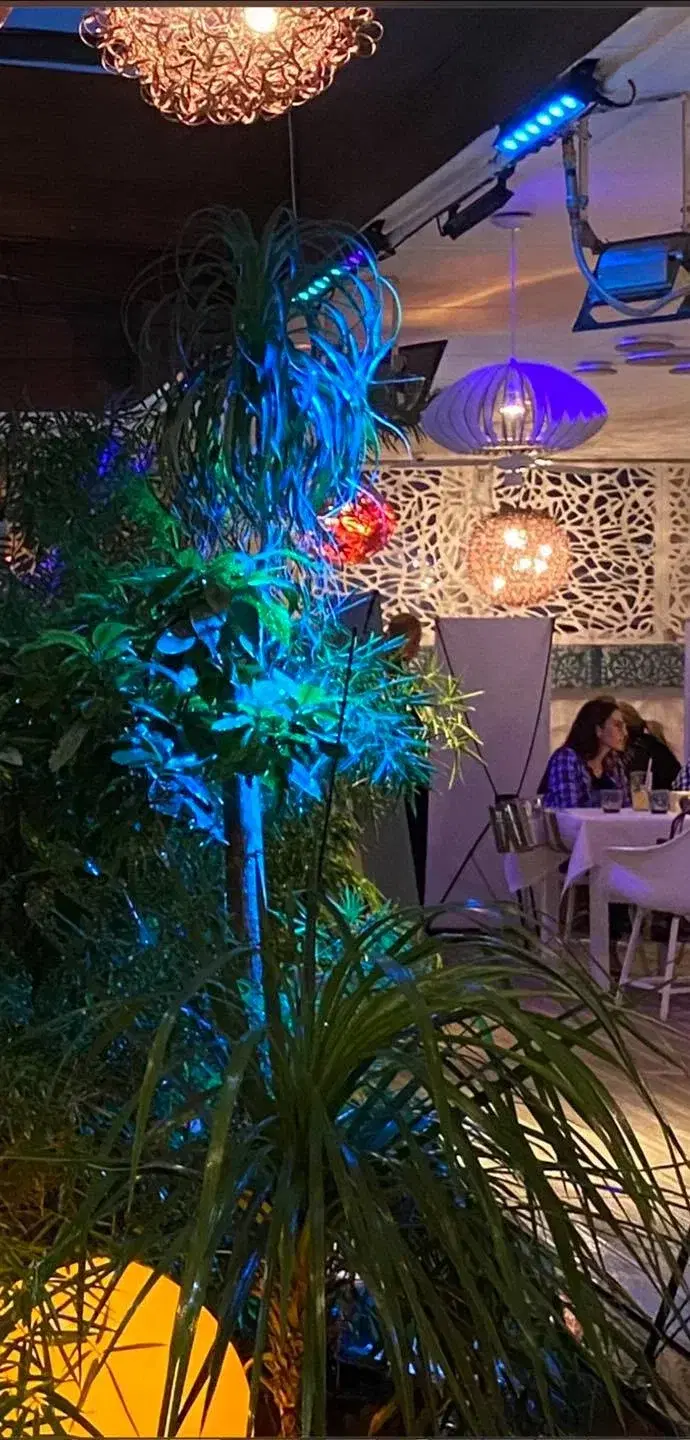 Restaurant Marco Polo - 3 Restaurant Marco Polo - 3