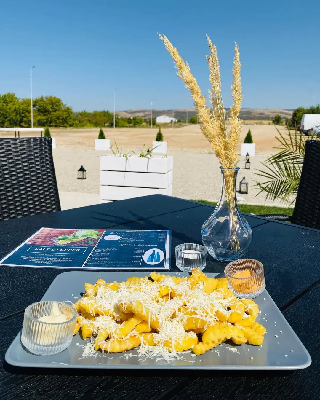 Restaurant Salt and Pepper - 3 Restaurant Salt and Pepper - 3