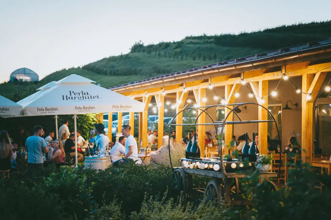 Restaurant Sarea-n Bucate - 5 Restaurant Sarea-n Bucate - 5