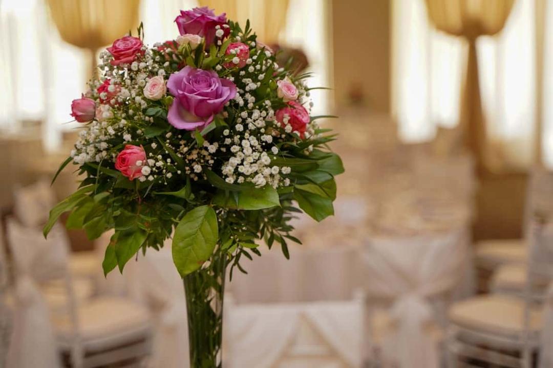 Restaurant The President - 5 Restaurant The President - 5