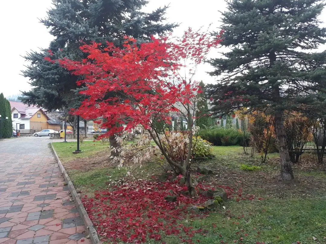 Sala de evenimente Koronna - 3 Sala de evenimente Koronna - 3