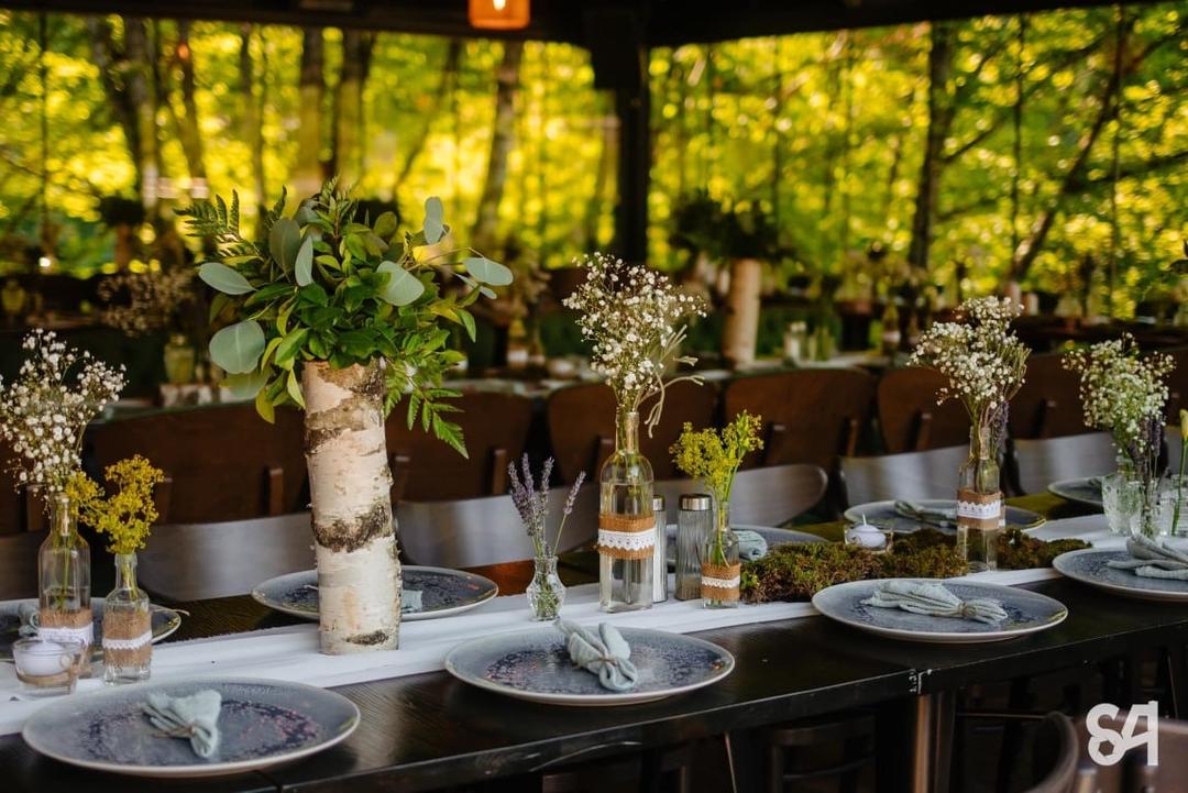 Tarnita Paradise Resort - 2 Tarnita Paradise Resort - 2